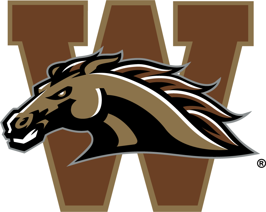 Western Michigan Broncos 1998-2016 Secondary Logo v2 iron on transfers for clothing
